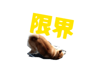 841630739