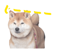 841630743