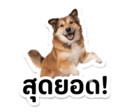 841630888