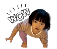 841631347