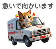 841631576