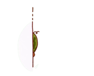 841632671