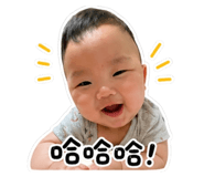 841633528