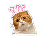 841633706