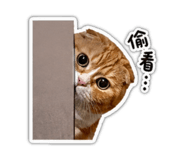 841633710