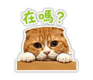 841633715