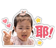 841634651