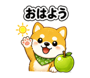 841635033