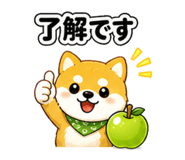 841635037