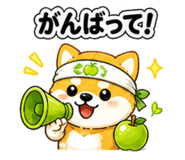 841635051