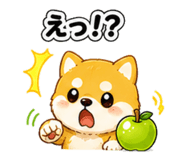 841635053