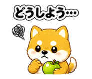 841635054
