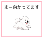 841636617