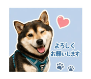 841637286