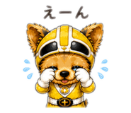 841638243
