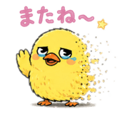 841638703