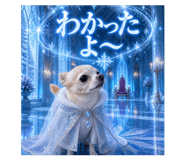 841638903
