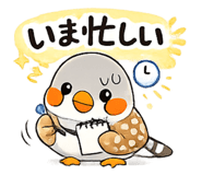 841638945