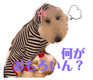 841639492
