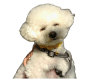 841640523