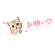 841641111