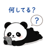 841641521