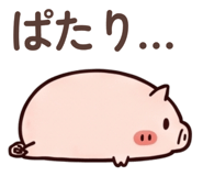 841642251