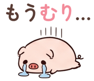 841642258