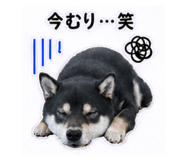 841643055