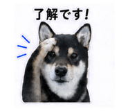 841643062