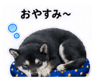 841643064