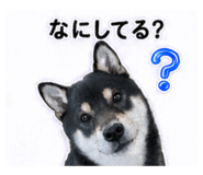841643066