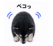 841643068