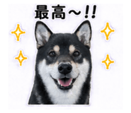 841643070