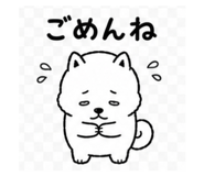 841643262