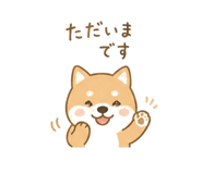 841643443