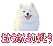 841643681