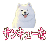 841643682