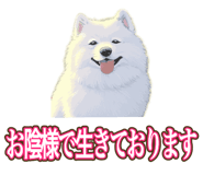 841643685