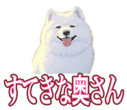 841643688