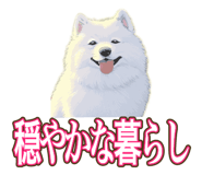 841643691