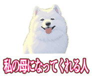 841643692