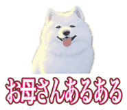 841643693