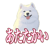 841643694