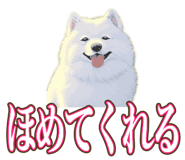 841643695
