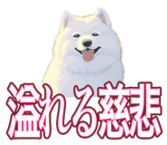 841643699