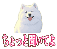 841643701