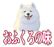 841643702