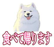 841643704