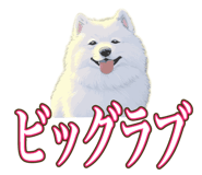 841643707